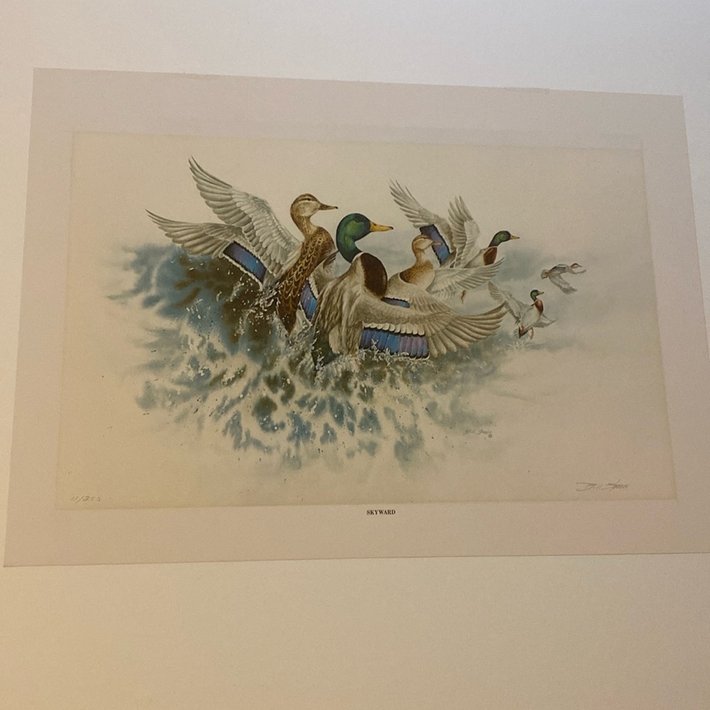 Ducks fine art print